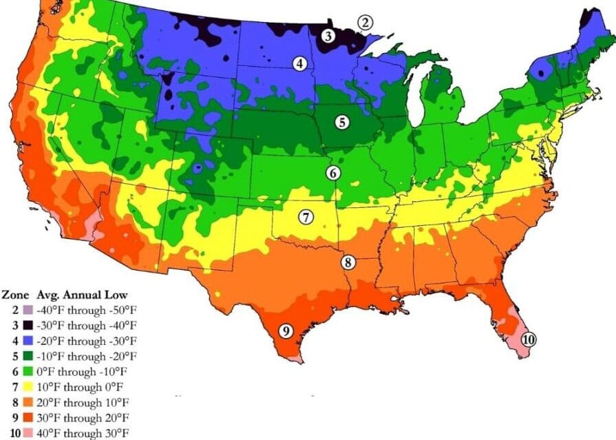 Hardiness zone, what zone, growing zones, plant zones, plants, houseplant zone, house plant zones