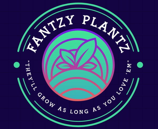 Fantzy Plantz